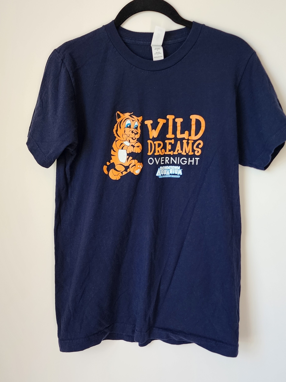 Wild Dreams Overnight Graphic Tee
